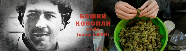 шишки Кодинск