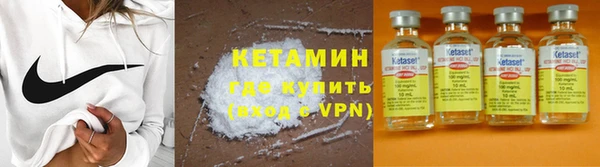 шишки Кодинск