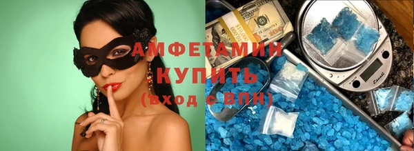 шишки Кодинск